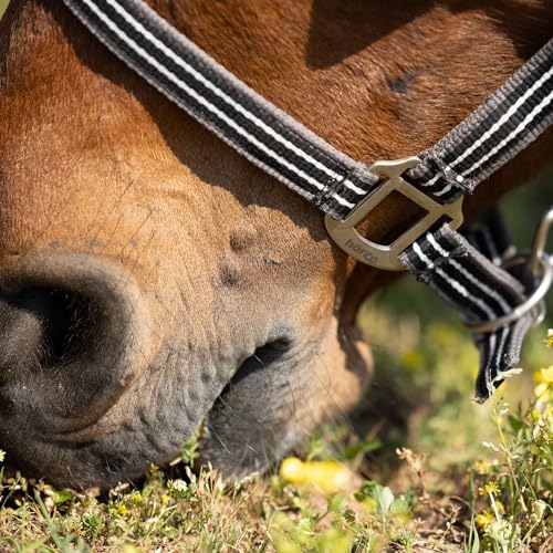 Adepto Adjustable Horse Halter (Dark Navy / Pony)