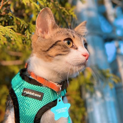 Cat Harness and Leash Set (Xs / Emerald)