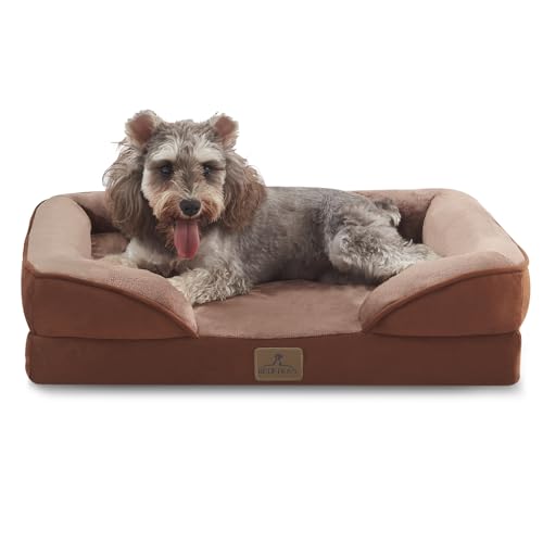 Orthopedic Dog Bed Extra Small (20.0"L x 15.0"W x 6.0"Th / Brown)