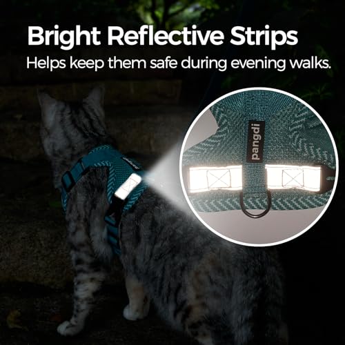 Cat Harness and Leash Set (Turquoise / Large)