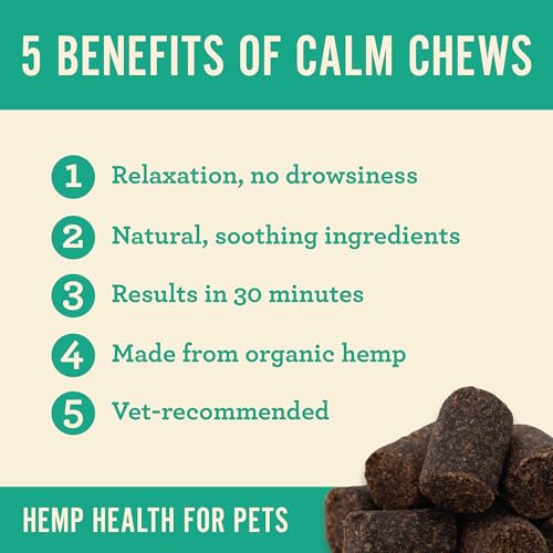 Calm Cat Soft Chews with Organic Hemp (60 Count (Pack of 1))