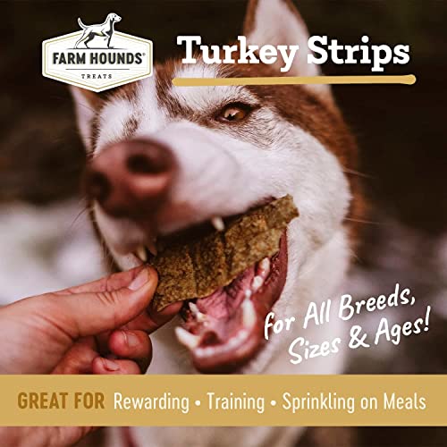 Turkey Strips (4.5 Ounce (Pack of 2))