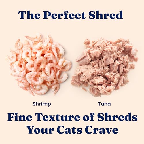 Wet Cat & Kitten Food (24 Pack)