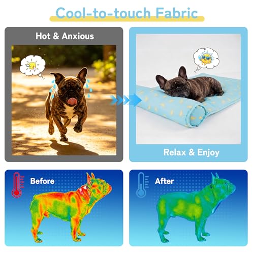 Cooling Dog Mat (Small / Blue)