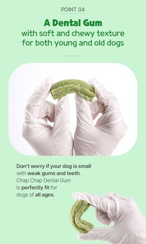 SSOMDALPET Chap Chap Dental Gum for Dogs (10.58 Ounce (Pack of 1))