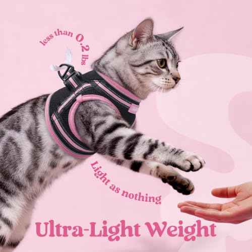 Cat Harness and Leash Set (L / Black & Pink)