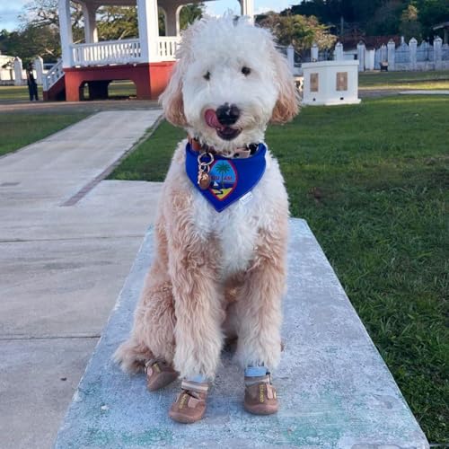 Dog Shoes for Hot Pavement (Size 3: 2.0''x2.5''(W*L) (Pack of 4))
