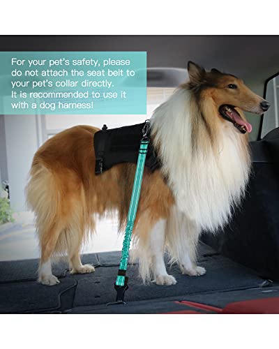 Dog Seat Belt for Car (Set Black+Teal)