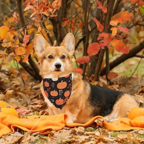Black Fall Dog Bandana (Large / Fall)