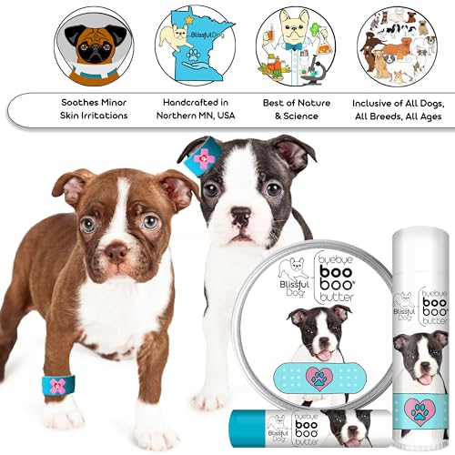 BB-BOSTON-16OZ Yorkshire Terrier Boo Butter (16 Ounce / Boston Terrier)