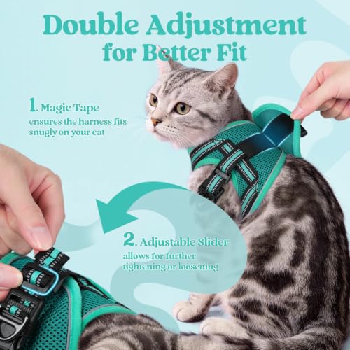 Cat Harness and Leash Set (L / Turquoise & Green)