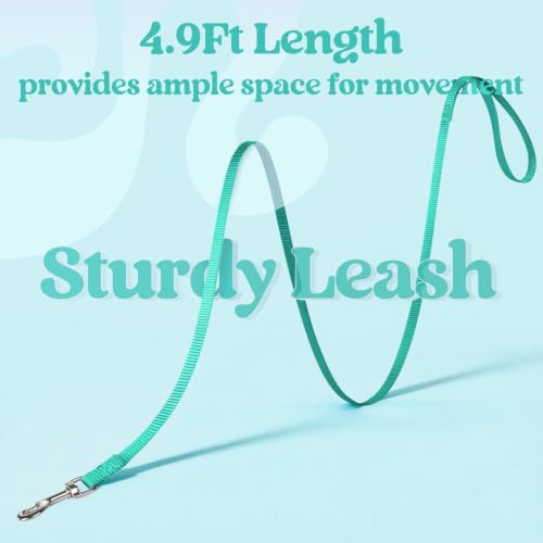 Cat Harness and Leash Set (L / Turquoise & Green)