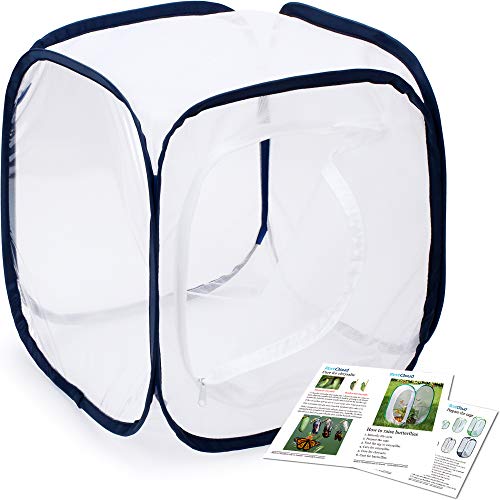 Insect and Butterfly Habitat Cage Terrarium Pop (White With Black / 12 x 12 x 12 inches)