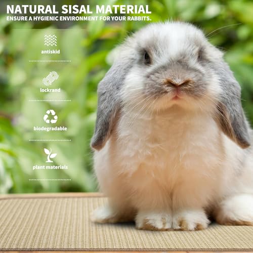 2Pcs Rabbit Scratch Mat
