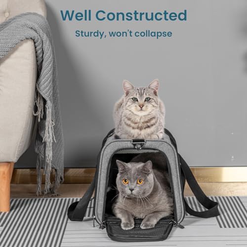 Large Cat Car Carrier (19.0"L x 12.0"W x 12.0"H / Z-Gray)