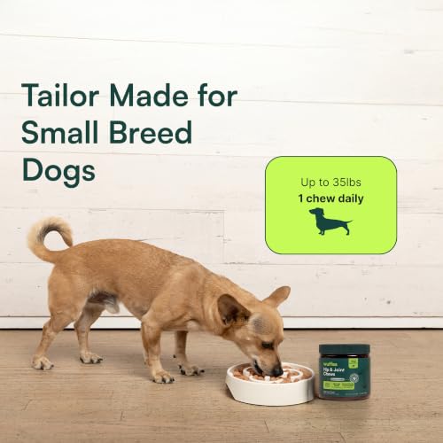 Advanced Hip & Joint Chews for Small Breed Dogs (Pack of 1)