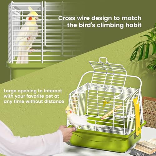 Small Bird Cage (Green / S)