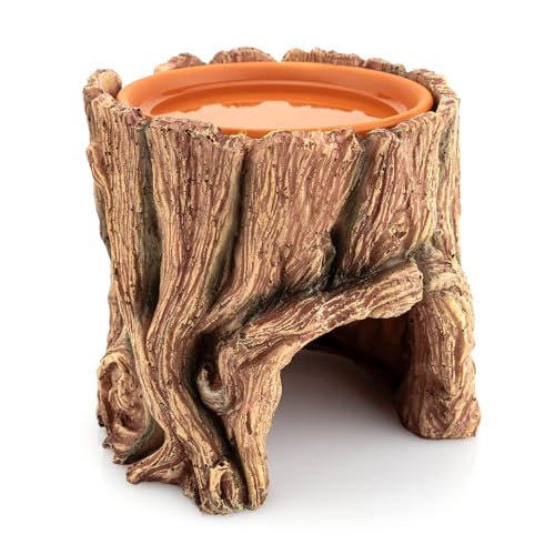 Reptile Hide Cave Resin