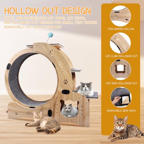 Cat Wheel 6 in