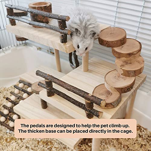 Hamster Climbing Toys 3