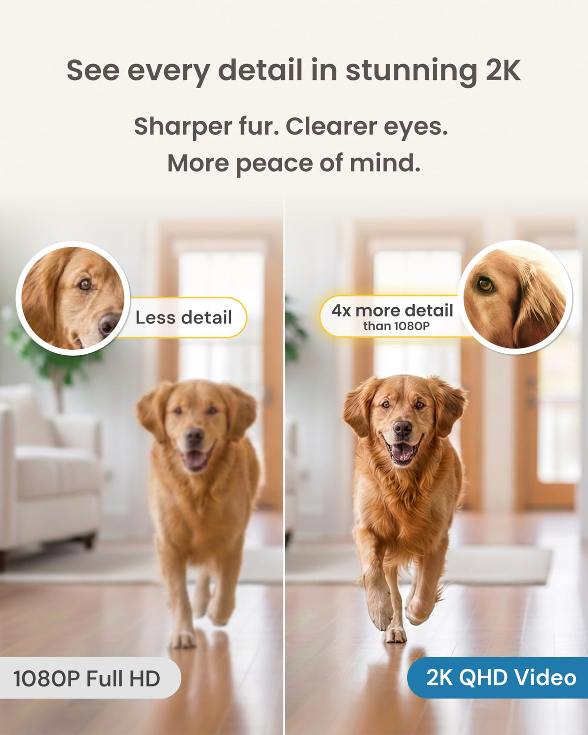 Mini 360° Pet Camera [Paid Plan Required to Activate] (Mini 360° Camera / Subscription Required to Activate)