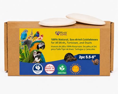 5.5 6″ Cuttlebone for Birds (2 Count (Pack of 1))
