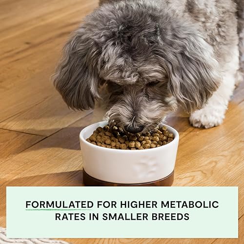 Grain Free Dry Dog Food (4 Pound (Pack of 1))