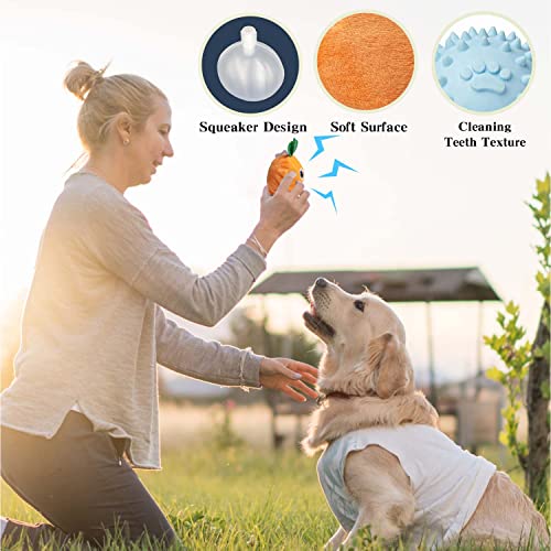 Dog Chew Toy with Ball