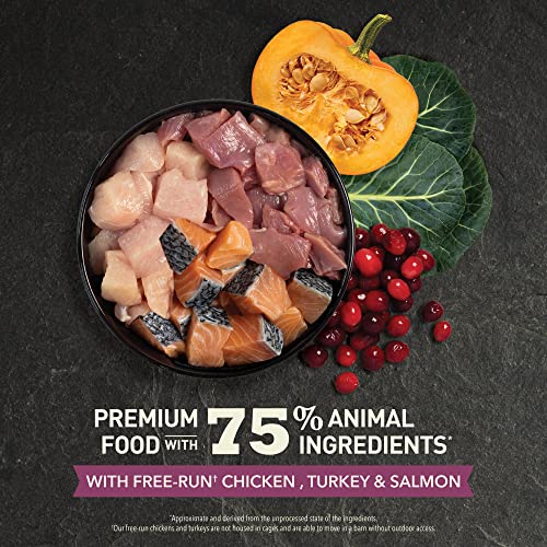 Highest Protein Dry Cat Food Kitten Recipe 4lb Bag (4 Pound (Pack of 1))