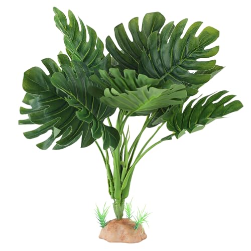 Reptile Plants (Monstera)