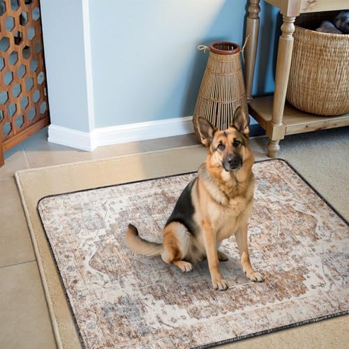 Washable Pee Pads for Dogs 2 Pack (48"x48"(2 Pack) / C Brown)