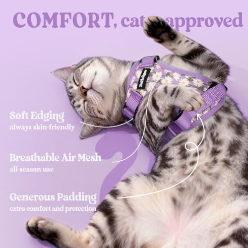 Cat Harness and Leash Set (M / Purr-ple Daisy)