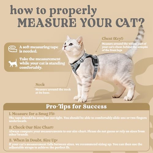 Cat Harness and Leash Set (Xs / Grey)