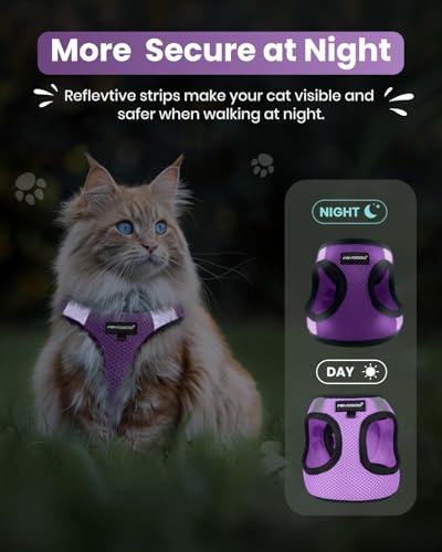 Cat Harness and Leash Set (Modern Violet / L(Chest 12-14"))