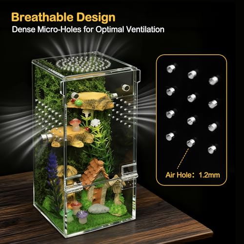 Jumping Spider Enclosure Starter Kit (Transparent / Small)