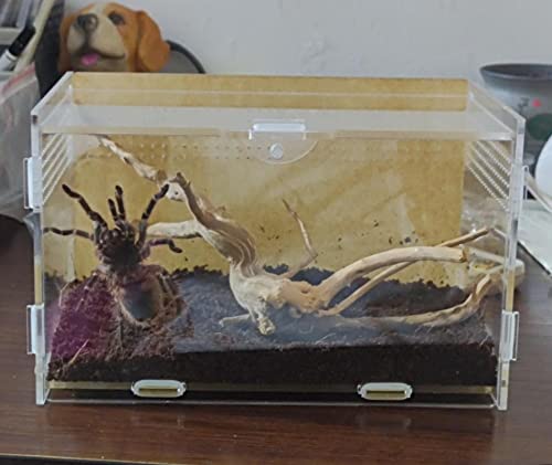Magnetic Acrylic Case (7.8*4.7*4.7inch)