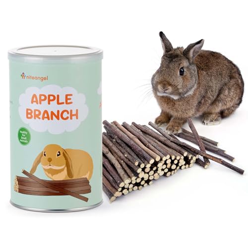 Apple Sticks Chew Toys