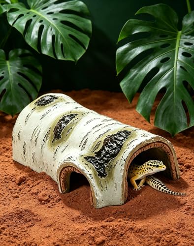 Reptile Hide for Bearded Dragons (brown / Medium-BH)