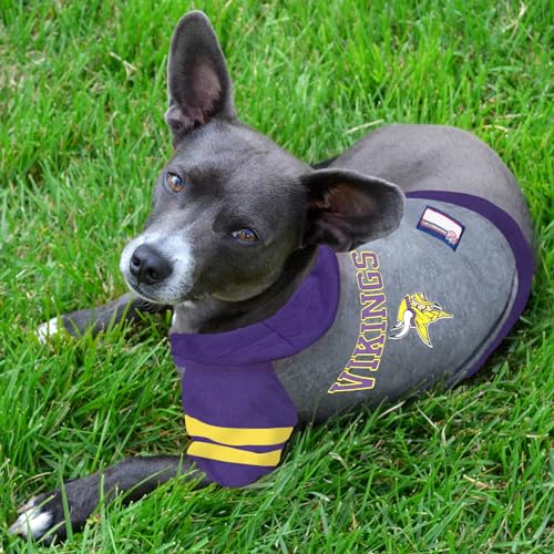 Minnesota Vikings Hoodie Tee Shirt (X-Small / Minnesota Vikings)