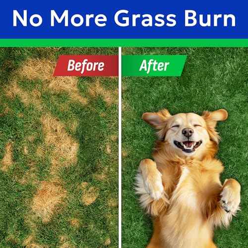 Green Grass Dog Chews (Green Grass / 120ct (Bacon))