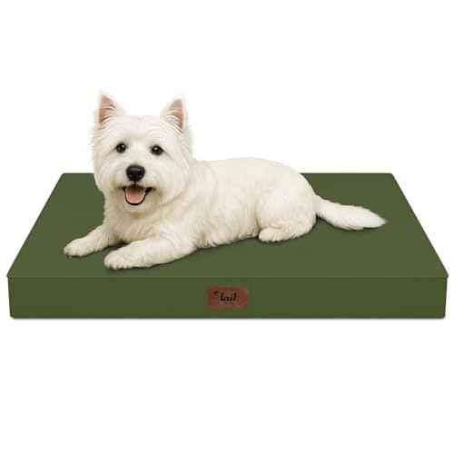 Waterproof Orthopedic Dog Crate Bed for Small Dogs & Cats (Amy Green / 23.0"L x 17.0"W x 2.5"Th)