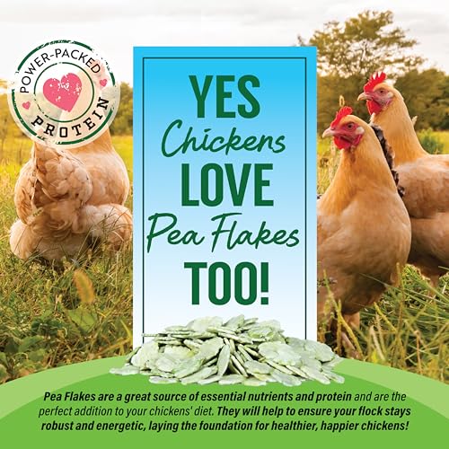 Pea Flakes Treats for Rabbits & Guinea Pigs (8 Ounce (Pack of 1))