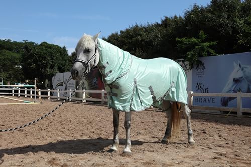 Horse Fly Sheet with Removable Neck Cover & Belly Wrap (Green / 81)