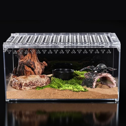Tarantula Enclosure Spider Terrarium Hermit Crab Tank Large (L-Only Terrarium)