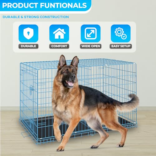 42" Foldable Metal Dog Crate (Blue)