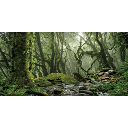 60x24 in Terrarium Backdrop Foggy Forest Stream Reptile Habitat Background (60x24in/150x60cm)