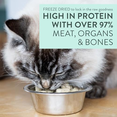 Purr Beef and Hoki Freeze Dried Recipe (9.9 Ounce (Pack of 1))