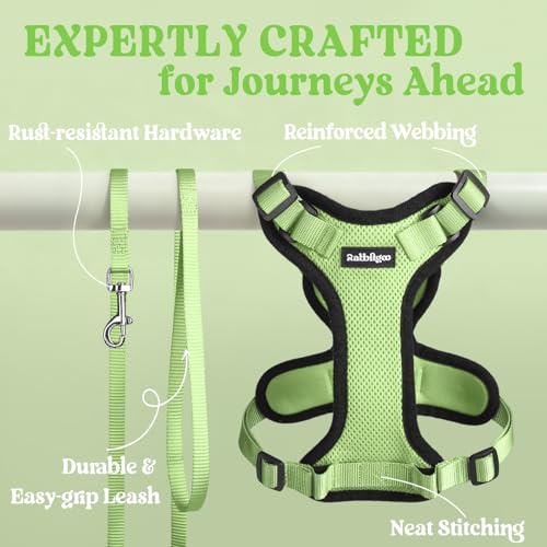 Cat Harness and Leash Set (M / Light Green)