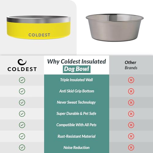 Coldest Dog Bowl (42 oz / Solar Yellow)