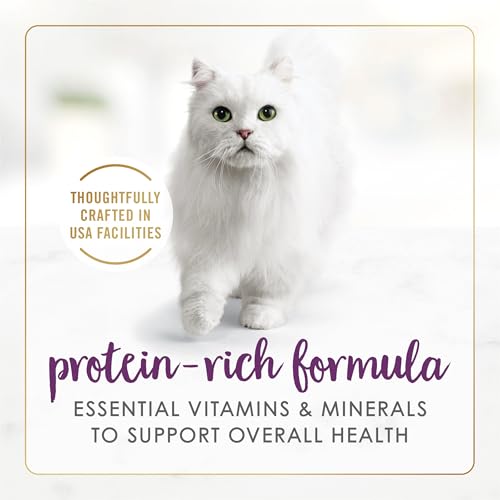 Purina Fancy Feast Senior 7 Year + Beef Feast Wet Cat Food (3 Ounce (Pack of 24))